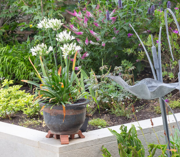 hampstead water feature garden 5 - thumbnail