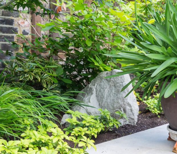 hampstead water feature garden 6 - thumbnail