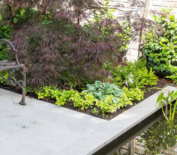 hampstead water feature garden 9 - thumbnail