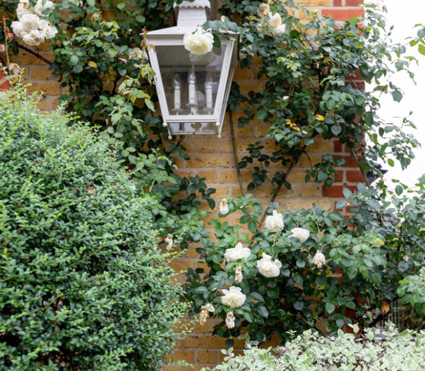 Wandsworth Front Garden & Drive 5 - thumbnail