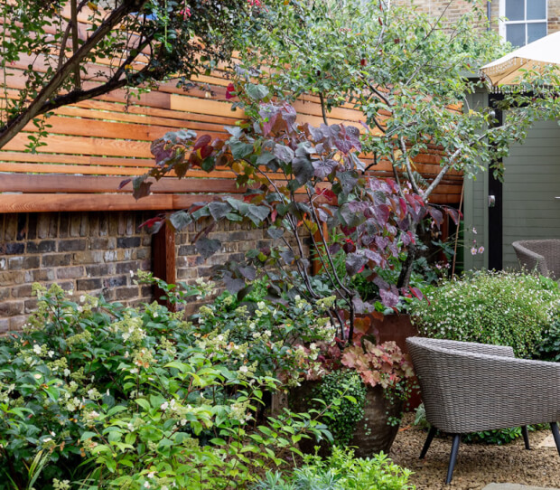 Richmond Garden with Garden Room 1 - thumbnail