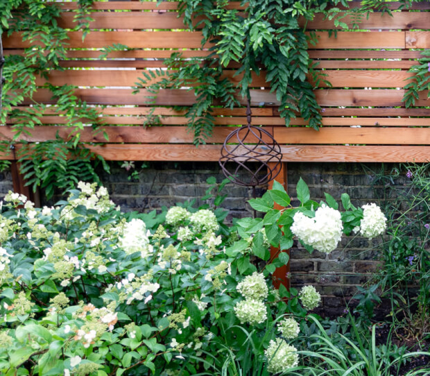 Richmond Garden with Garden Room 6 - thumbnail