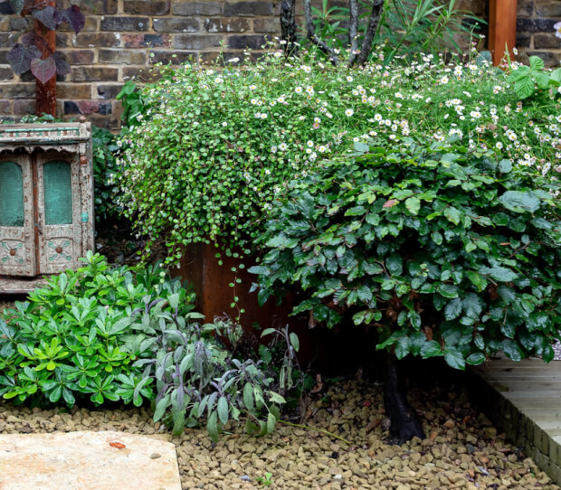 Richmond Garden with Garden Room 8 - thumbnail