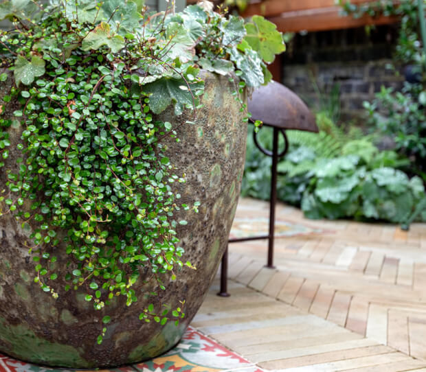 Richmond Garden with Garden Room 10 - thumbnail