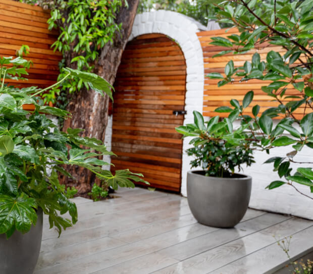 Fulham Walled Garden 3 - thumbnail