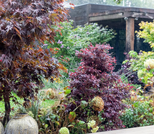 Wimbledon Entertaining Garden 2 - thumbnail