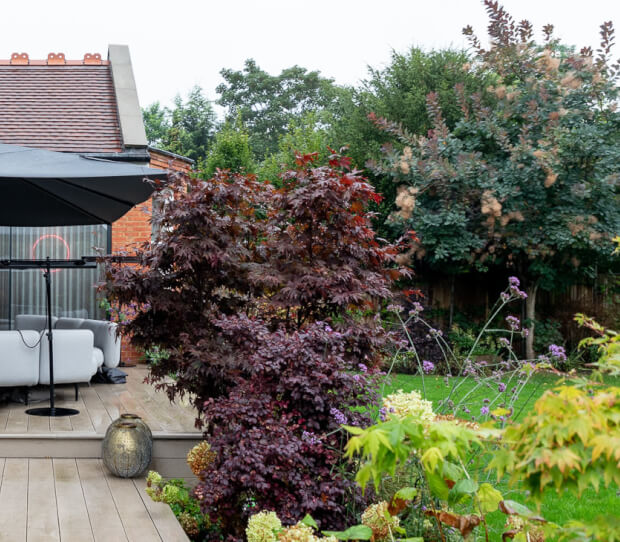 Wimbledon Entertaining Garden 5 - thumbnail