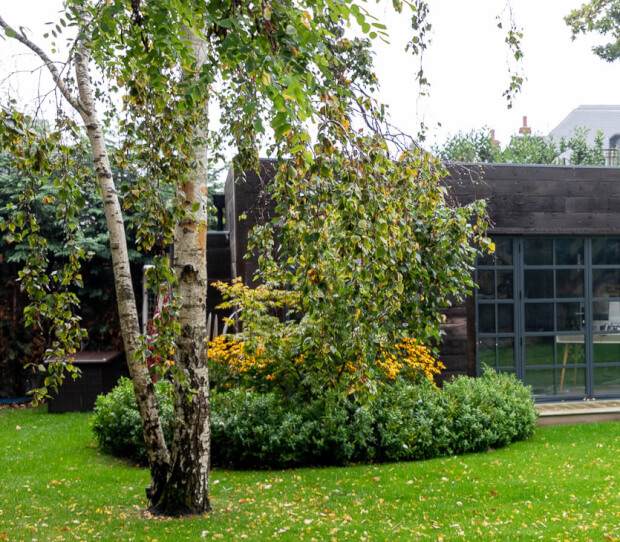 Wimbledon Entertaining Garden 9 - thumbnail