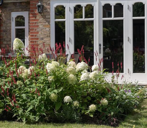 Putney Traditional Garden with Garden Room 7 - thumbnail