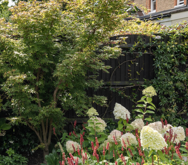 Putney Traditional Garden with Garden Room 8 - thumbnail