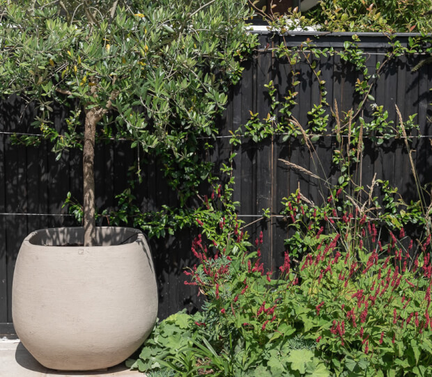 Putney Traditional Garden with Garden Room 9 - thumbnail