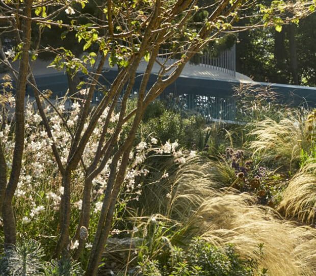 Pool Garden Surrey 1 - thumbnail