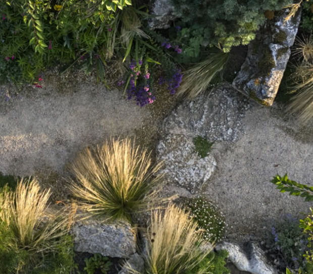 Pool Garden Surrey 2 - thumbnail