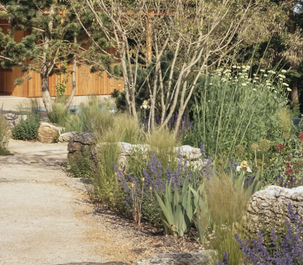 Pool Garden Surrey 4 - thumbnail