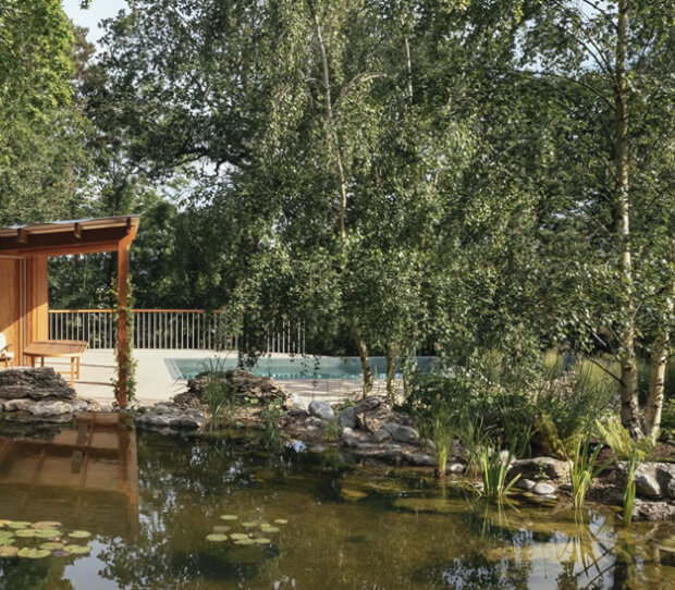 Pool Garden Surrey 6 - thumbnail