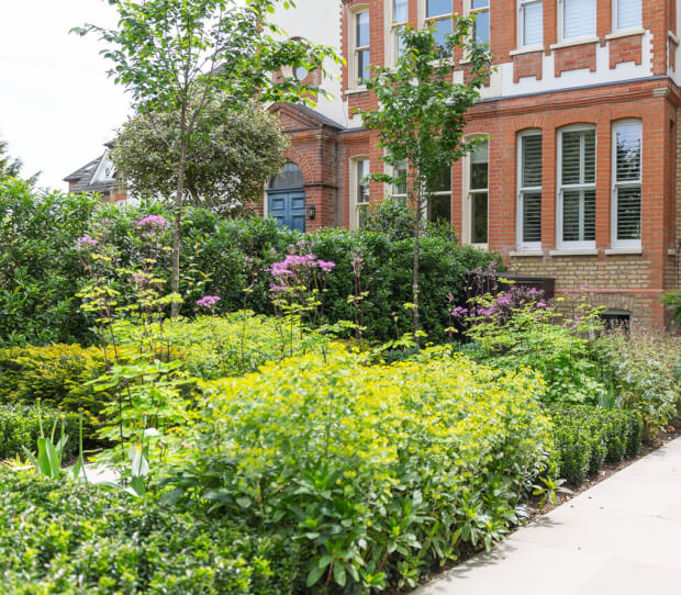 tooting front 1 - thumbnail