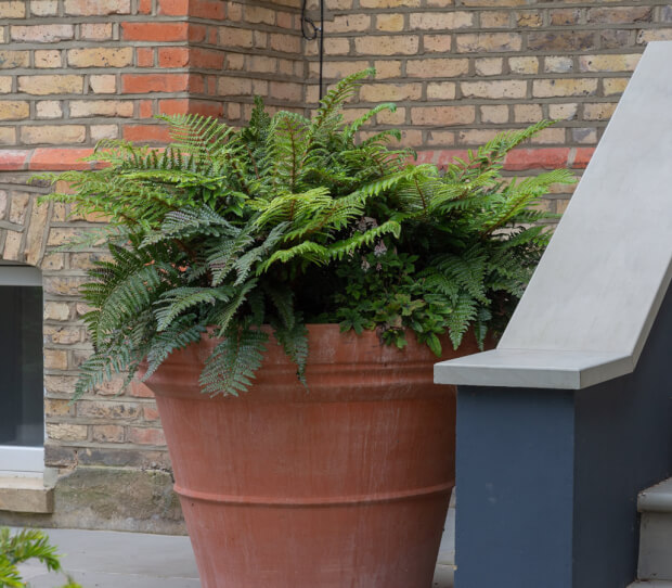 tooting front 2 - thumbnail