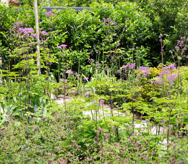 tooting front 3 - thumbnail