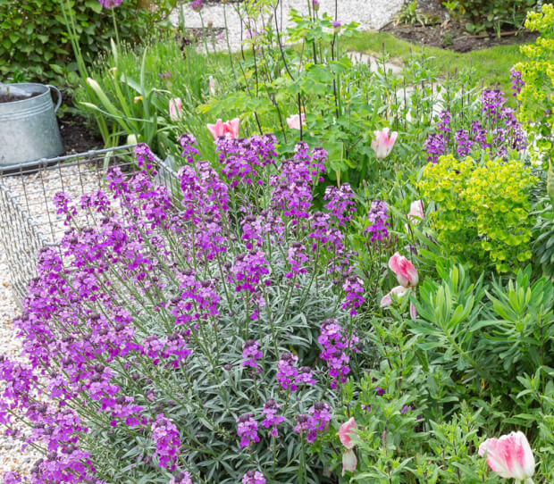 South West London Town House Back Garden 8 - thumbnail