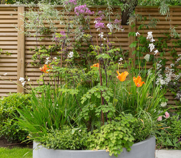 South West London Town House Back Garden 10 - thumbnail