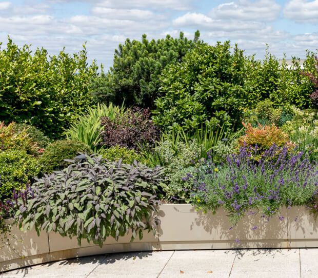 Penthouse Roof Garden, Battersea 4 - thumbnail