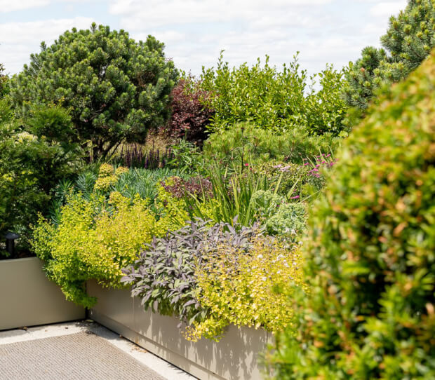 Penthouse Roof Garden, Battersea 5 - thumbnail