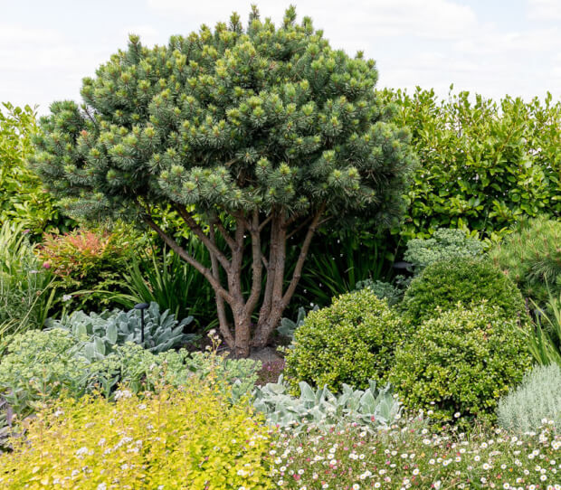 Penthouse Roof Garden, Battersea 6 - thumbnail