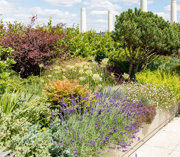 Penthouse Roof Garden, Battersea 10 - thumbnail