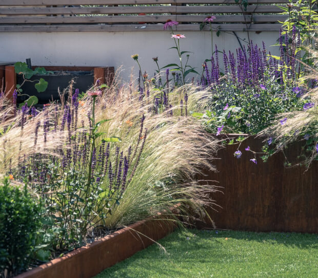 Small Wandsworth Garden 7 - thumbnail