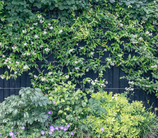 Wandsworth Entertaining Garden 7 - thumbnail