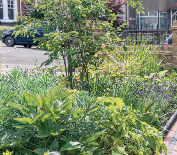 Wandsworth Entertaining Garden 10 - thumbnail