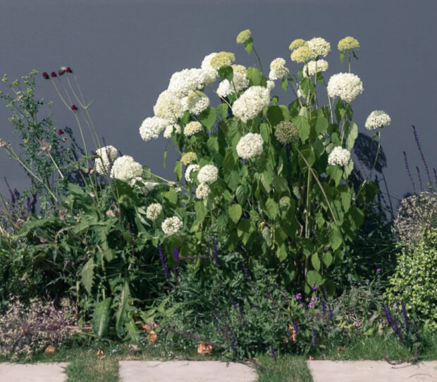 Putney Garden with Pool 4 - thumbnail