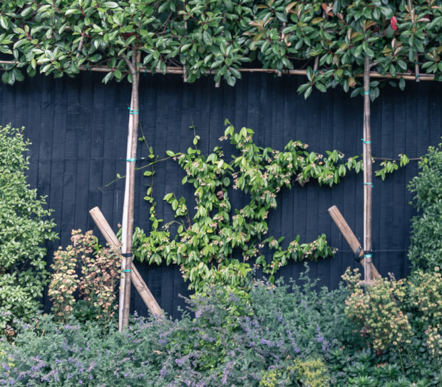 Putney Garden with Pool 7 - thumbnail