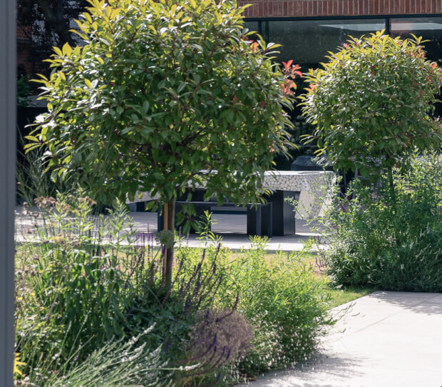 Putney Garden with Pool 9 - thumbnail