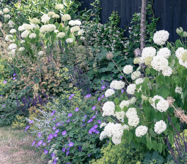 Putney Garden with Pool 10 - thumbnail