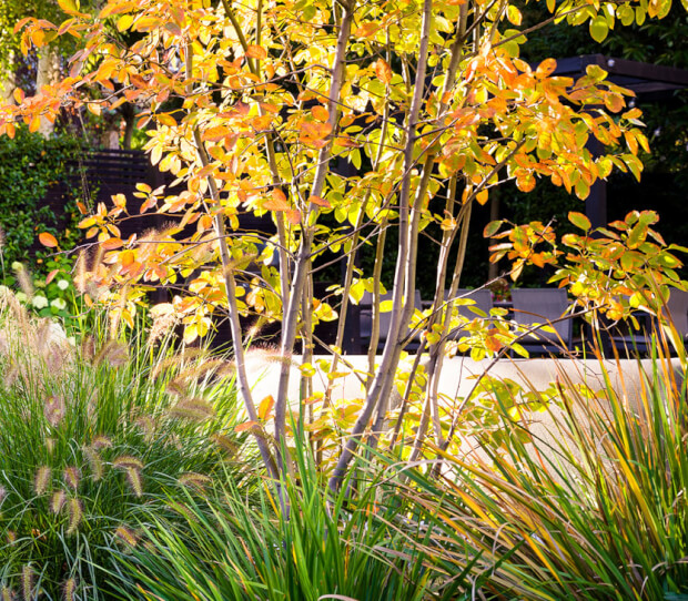 South West London House 2 - thumbnail