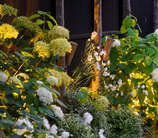 South West London House 7 - thumbnail