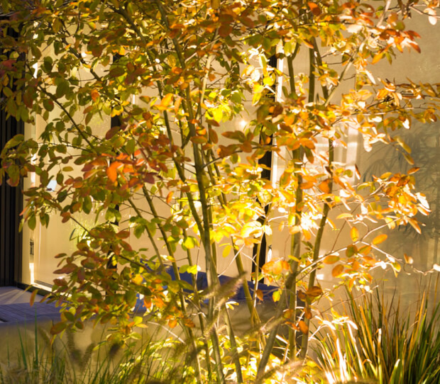 South West London House 8 - thumbnail