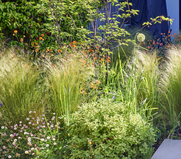 Wimbledon Small Garden With Garden Room 3 - thumbnail