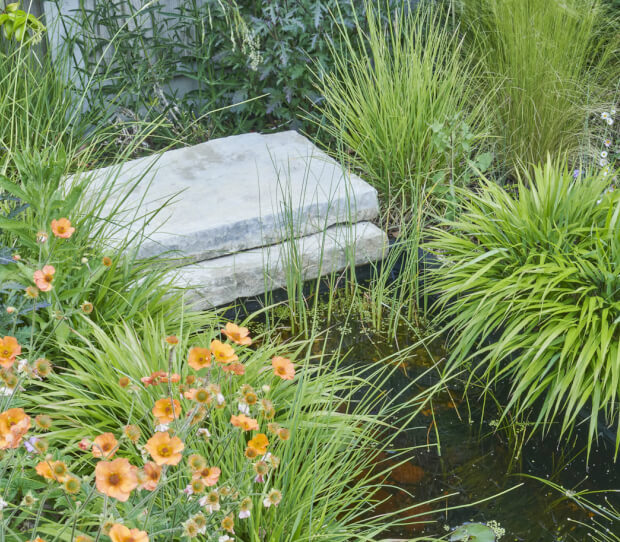 Wimbledon Small Garden With Garden Room 6 - thumbnail