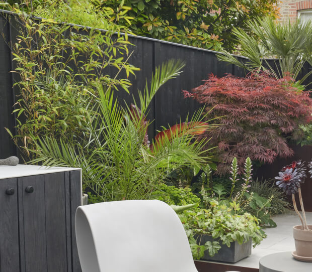 Clapham Courtyard Garden Oasis 1 - thumbnail