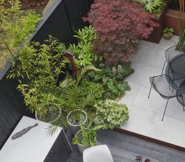 Clapham Courtyard Garden Oasis 3 - thumbnail