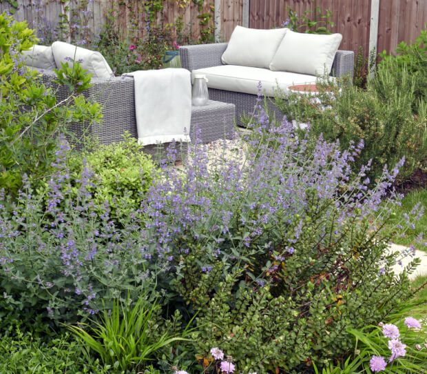 East Sheen Relax & Entertaining Garden 4 - thumbnail