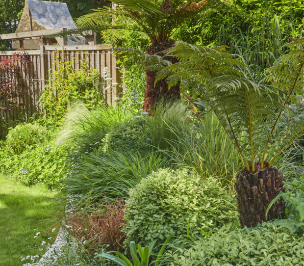 Wimbledon Garden With Pergola 5 - thumbnail