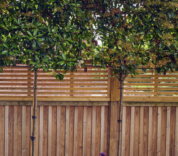 Wimbledon Garden With Pergola 8 - thumbnail